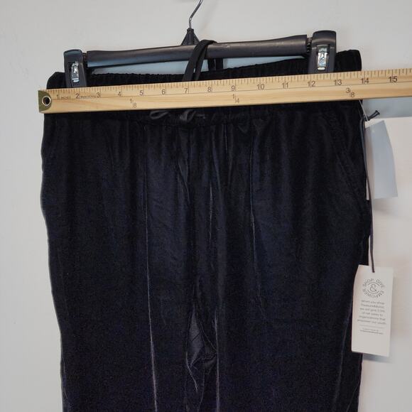 Treasure & Bond Black Velvet Pants Size XXS Elastic Waist Pull On Stretch Luxe - Picture 6 of 10
